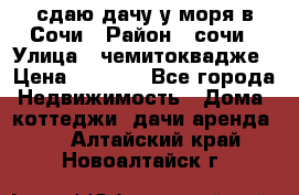 сдаю дачу у моря в Сочи › Район ­ сочи › Улица ­ чемитоквадже › Цена ­ 3 000 - Все города Недвижимость » Дома, коттеджи, дачи аренда   . Алтайский край,Новоалтайск г.